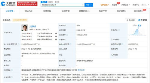 互聯網游戲服務 連接、沉浸與變革